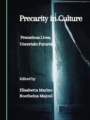 cover image of Precarity in Culture